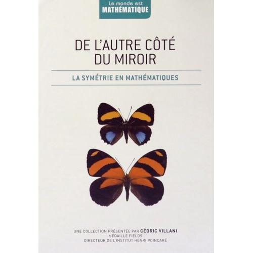 De L'autre Côté Du Miroir - La Symétrie En Mathématiques