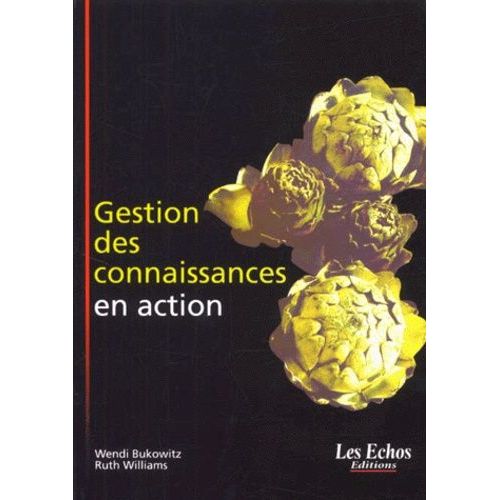 Gestion Des Connaissances En Action