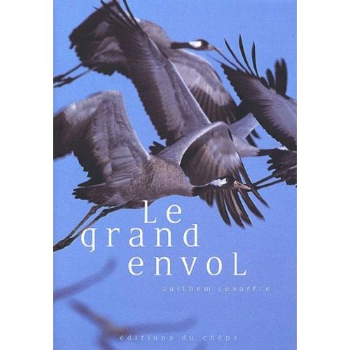 Le Grand Envol