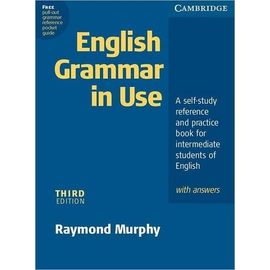 English Grammar In Use 3rd Edition With Answers