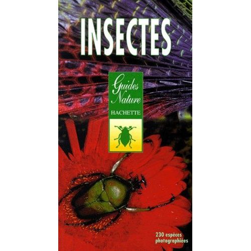 Insectes - Identification Et Observation