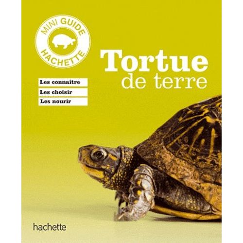 Tortues De Terre