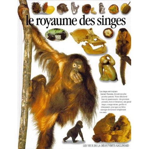 Le Royaume Des Singes