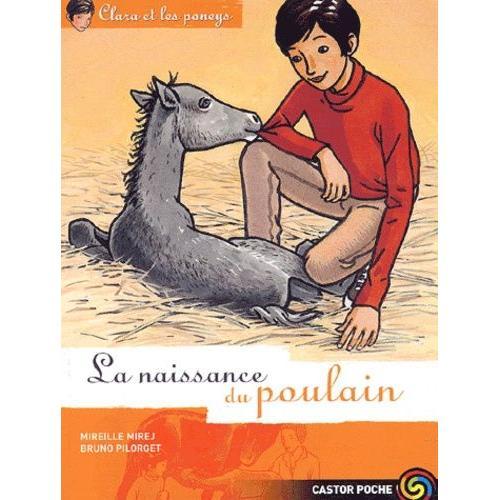 Clara Et Les Poneys Tome 3 - La Naissance Du Poulain