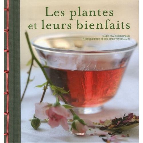 Les Plantes Et Leurs Bienfaits