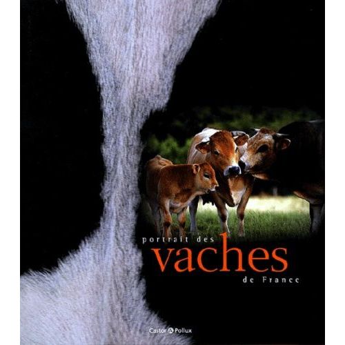 Portrait Des Vaches De France