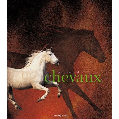 Portrait Des Chevaux
