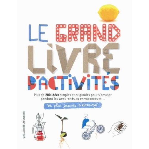 Le Grand Livre D'activités - Ne Plus Jamais S'ennuyer