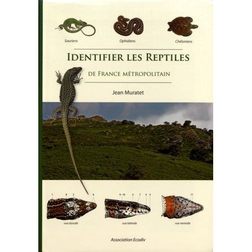 Identifier Les Reptiles De France Métropolitaine