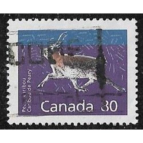 Timbre Du Canada N°1172 Y & T 80 C. Multicolore Série Courante Mammifères Canadiens Caribou De Peary