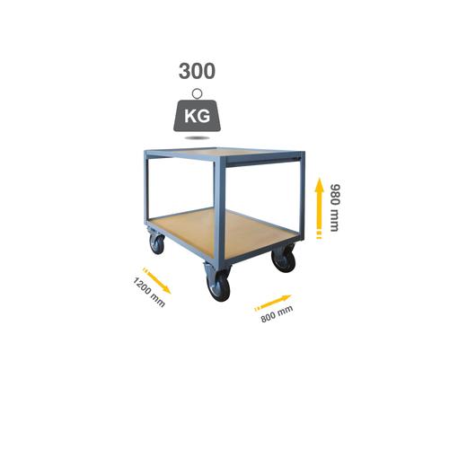 Servante atelier 300 kg 2 plateau bois 1200x800 mm