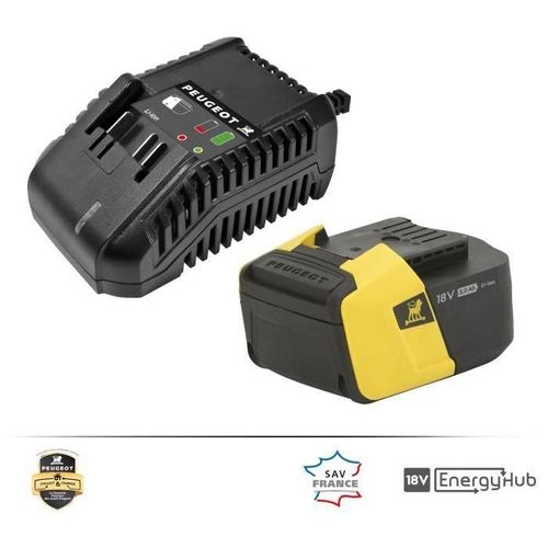 Chargeur et batterie 5,0Ah 18 V - Lithium Ion - ENERGYHUB PEUGEOT