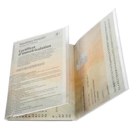 Exacompta - Pochette De Protection - 3 Compartiments - 85 X 125 Mm - Translucide Incolore