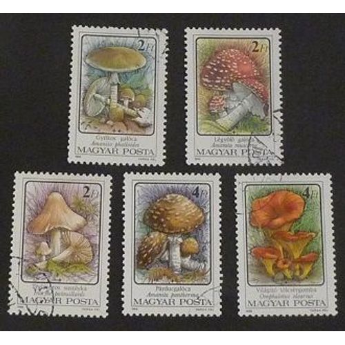 Hongrie Oblitéré Y Et T N° 3081 À 3085 Lot De 5 Timbres De 1986 Champignons Vénéneux