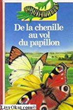 De la chenille au vol du papillon