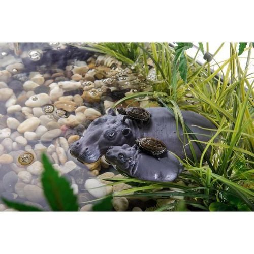 Exo-Terra Hippo Turtle Island - Pour Reptile Ou Amphibien