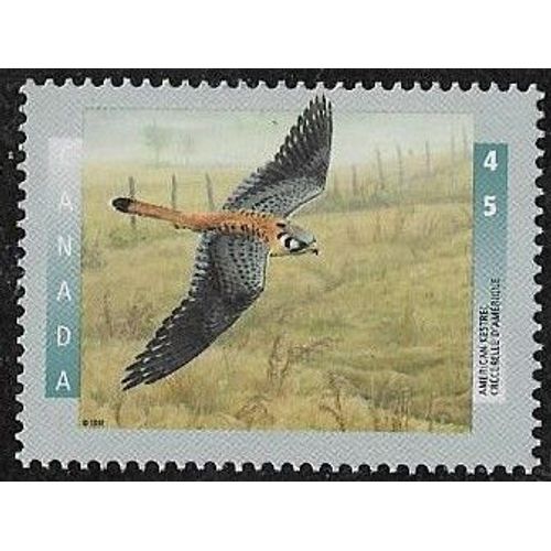Timbre Du Canada N°1450 Y & T 45 C. Multicolore Faune Oiseaux Canadiens Crécerelle D'amérique