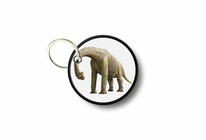 Porte Cle Cles Clef Brode Patch Ecusson Dinosaure Diplodocus