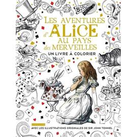 DES MERVEILLES D'HIVER Livre de book by Adult Coloring Books