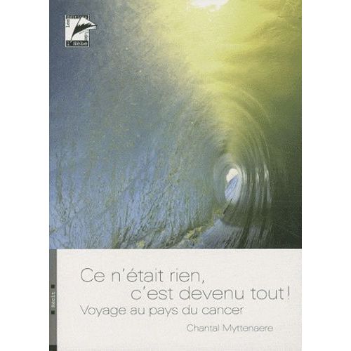 Ce N'était Rien, C'est Devenu Tout ! - Voyage Au Pays Du Cancer