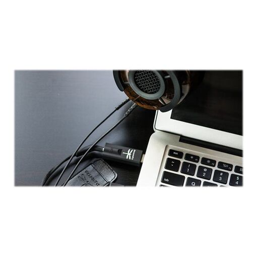 AudioQuest DragonFly - USB DAC - 32 bits - stéreo - U
