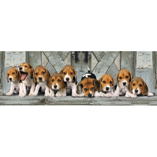 Clementoni Puzzle Panorama 1000 Pièces - Beagles