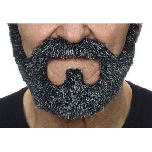 Barbe Blonde Grisonnante