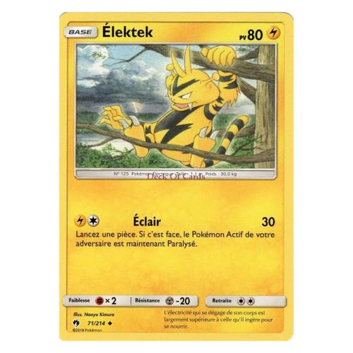 Élektek (Sl08-71/214)