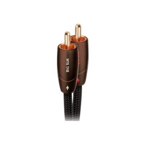 AudioQuest Bigsur - Câble audio - RCA x 2 mâle pour RCA x 2 mâle - 1 m