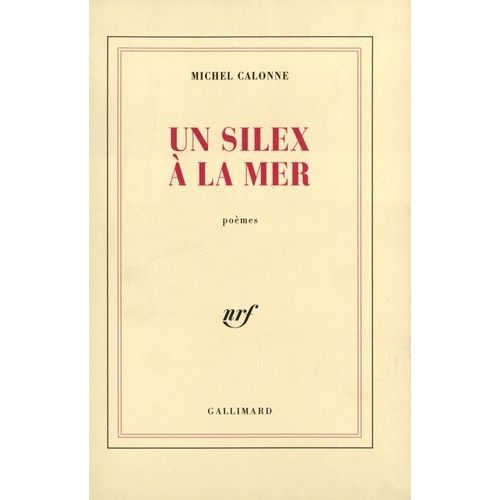 Un Silex À La Mer