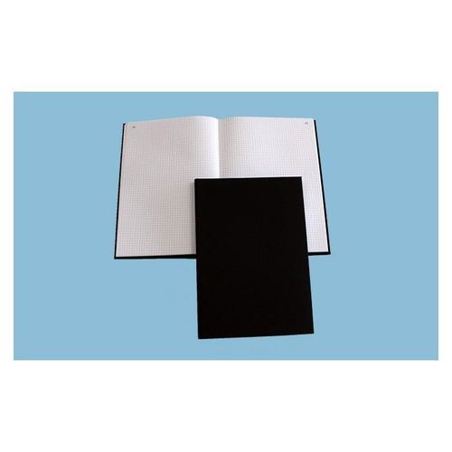 Elve Reg.Standard 360x230 5/5 Fol. 300 Pages (Par 2)