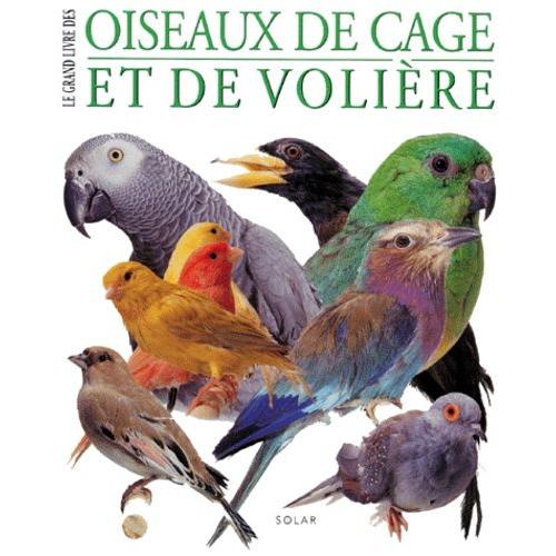 Oiseaux De Cage Et De Volière