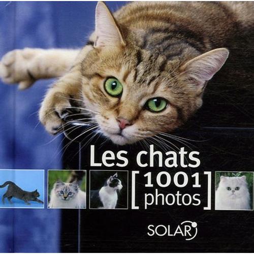 Les Chats - 1001 Photos