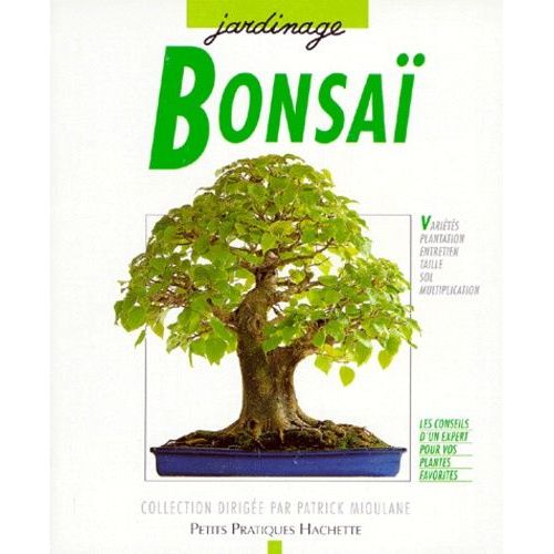 Bonsaï D'intérieur - Pour Une Culture Réussie