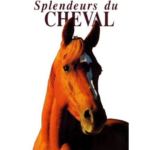 Splendeurs Du Cheval