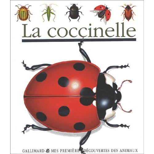 La Coccinelle