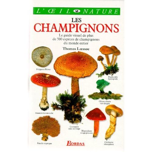 Les Champignons