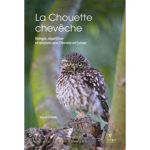 La Chouette Chevêche - Biologie, Répartition Et Relation Avec L'homme En Europe