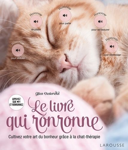 Souple Comme Un Chat 33 Exercices D Assouplissement Illustres Rakuten