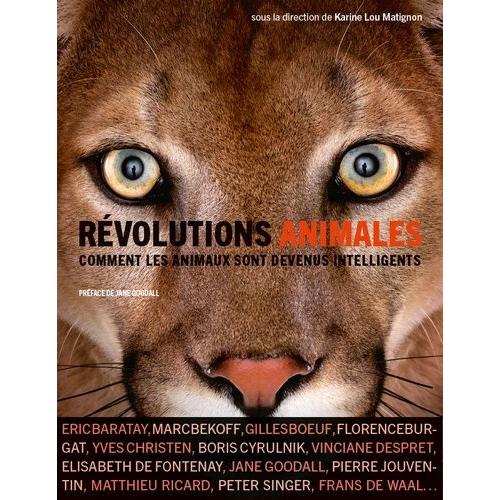 Révolutions Animales - Comment Les Animaux Sont Devenus Intelligents