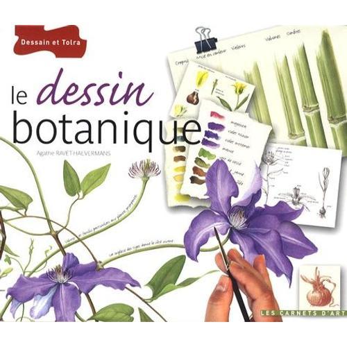 Le Dessin Botanique