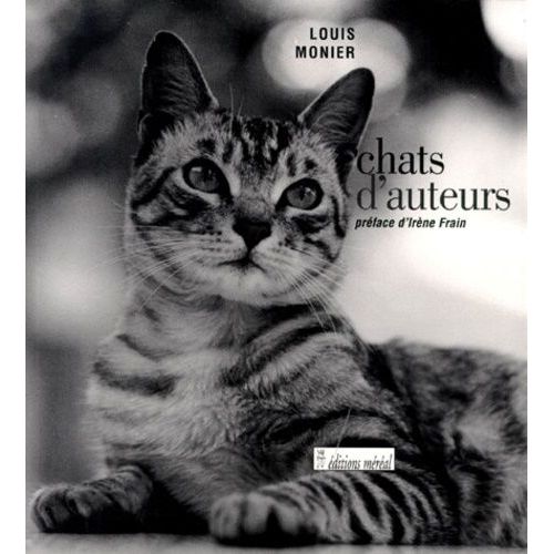 Chats D'auteurs