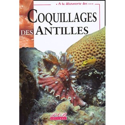 Coquillages Des Antilles