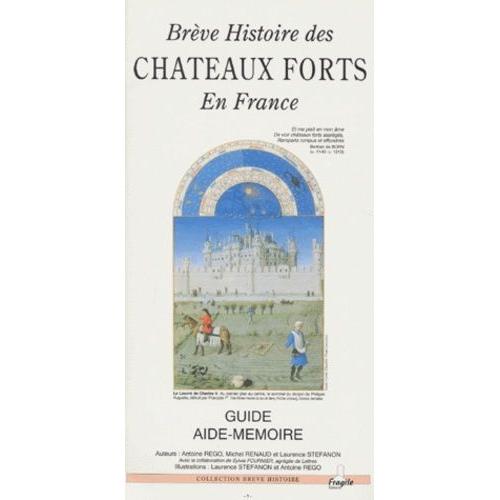 Brève Histoire Des Châteaux Forts En France