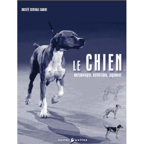 Le Chien - Morphologie, Esthétique, Jugement