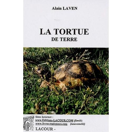 La Tortue De Terre