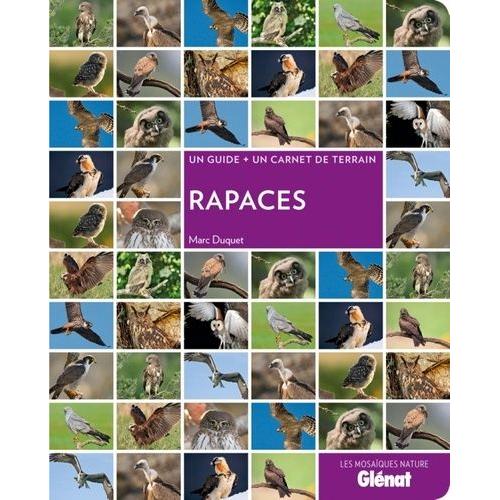 Rapaces