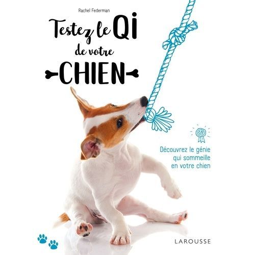 Testez Le Qi De Votre Chien - Découvrez Le Génie Qui Sommeille En Votre Chien !