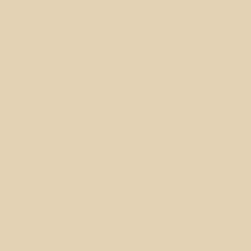 Peinture mat mur et plafond biosourcée - Peinture chambre, salon, pièces à vivre Ivoire Clair - RAL 1015 10 L (+ ou - 120m² par couche)