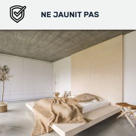 Peinture mur et plafond satin velours biosourcée Vert clair - RAL 6027 2.5 L (+ ou - 30m² par couche)